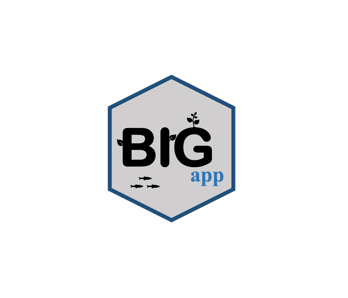 BIGapp logo